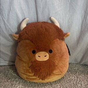 Dunkie the Bison 14” Squishmallow